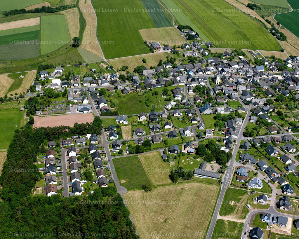 2624382 | Dickenschied