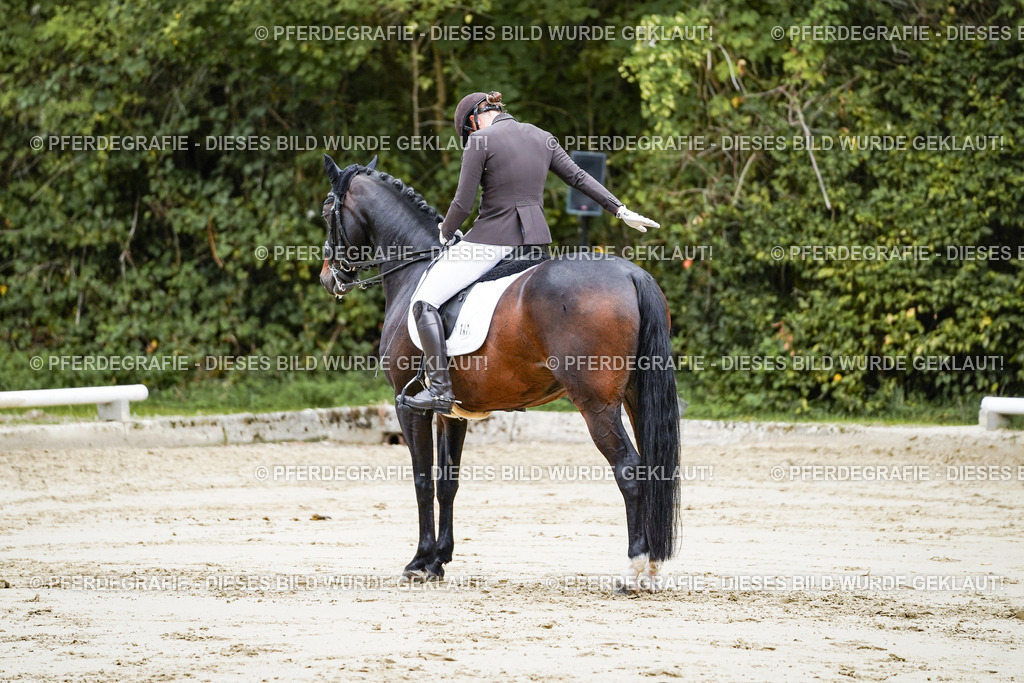 DSC08819 | Pferdegrafie