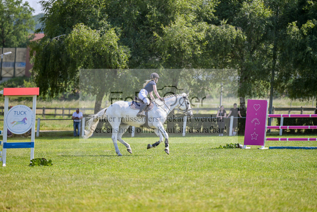 Reitturnier Voxtrup | Entdecke hochwertige Reitturnierfotos von Foto Oger. Professionell, emotional und authentisch – jetzt Lieblingsmomente im Shop bestellen. - Realisiert mit Pictrs.com