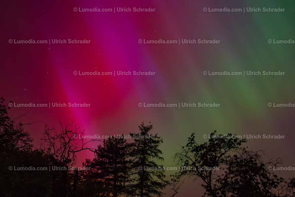 10049-13225 - Polarlicht am Huy | Stockfoto und Bilderpool mit Bildmaterial aus Deutschland, dem Harz, Halberstadt, Quedlinburg, Wernigerode und weltweit. Qualitativ hochwertige und professionelle Fotos anschauen und kaufen. - Realisiert mit Pictrs.com