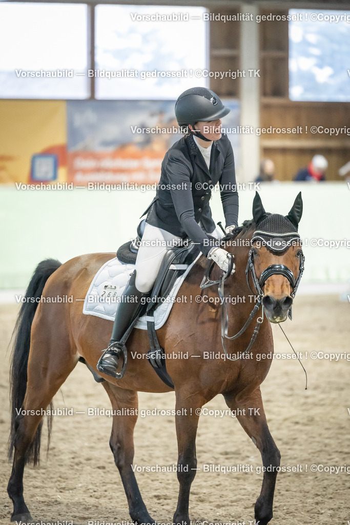 _D5A3597 | Emotionale Pferde- & People-Fotografie rund um Heidelberg, Leimen & Umgebung. Natürliche Fotos von Pferd, Mensch & Familie. Jetzt Termin sichern!