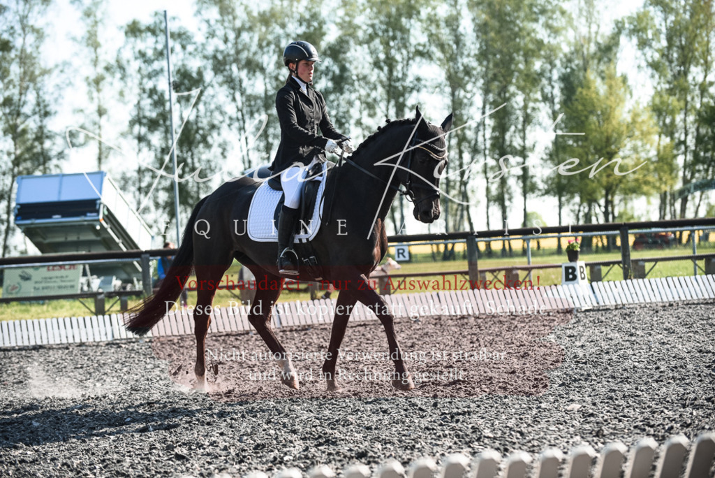 DSC_8330 | Pferde- und Turnierfotografie in Westsachsen. Pferdeportraits, Auftragszeichnungen und intuitive Kunst.