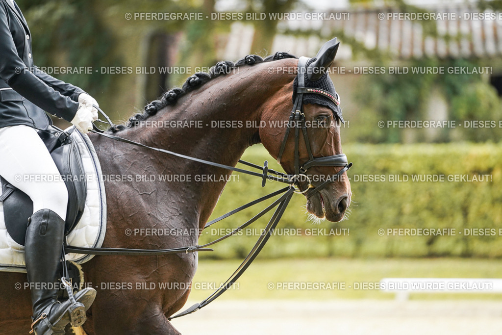 DSC00123 | Pferdegrafie