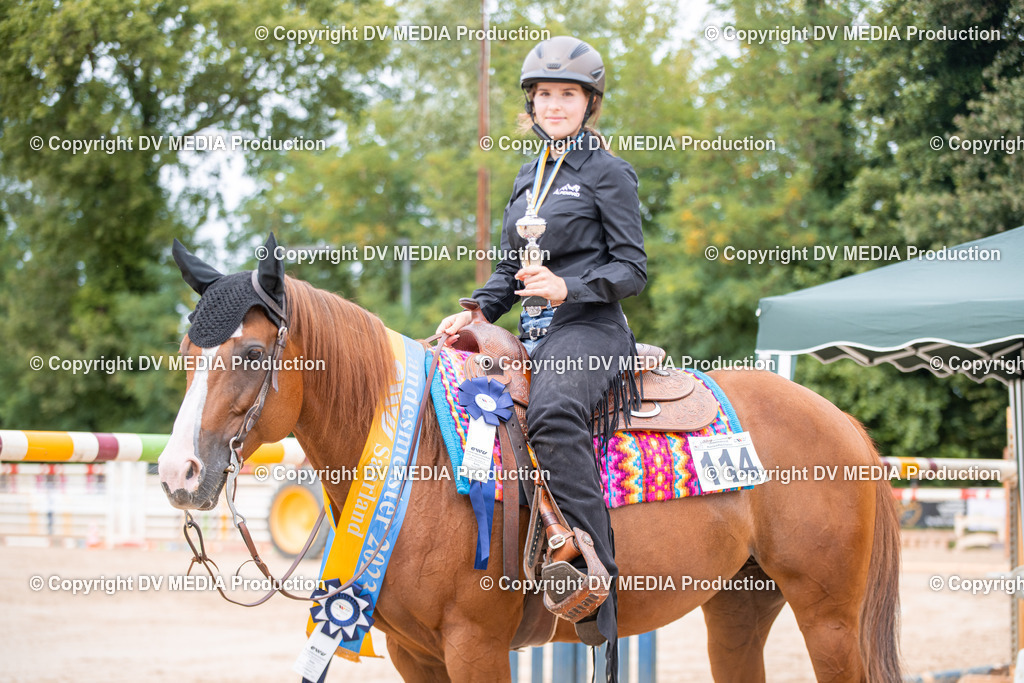 ZS3_5133 | dv-media-shop - Realisiert mit Pictrs.com