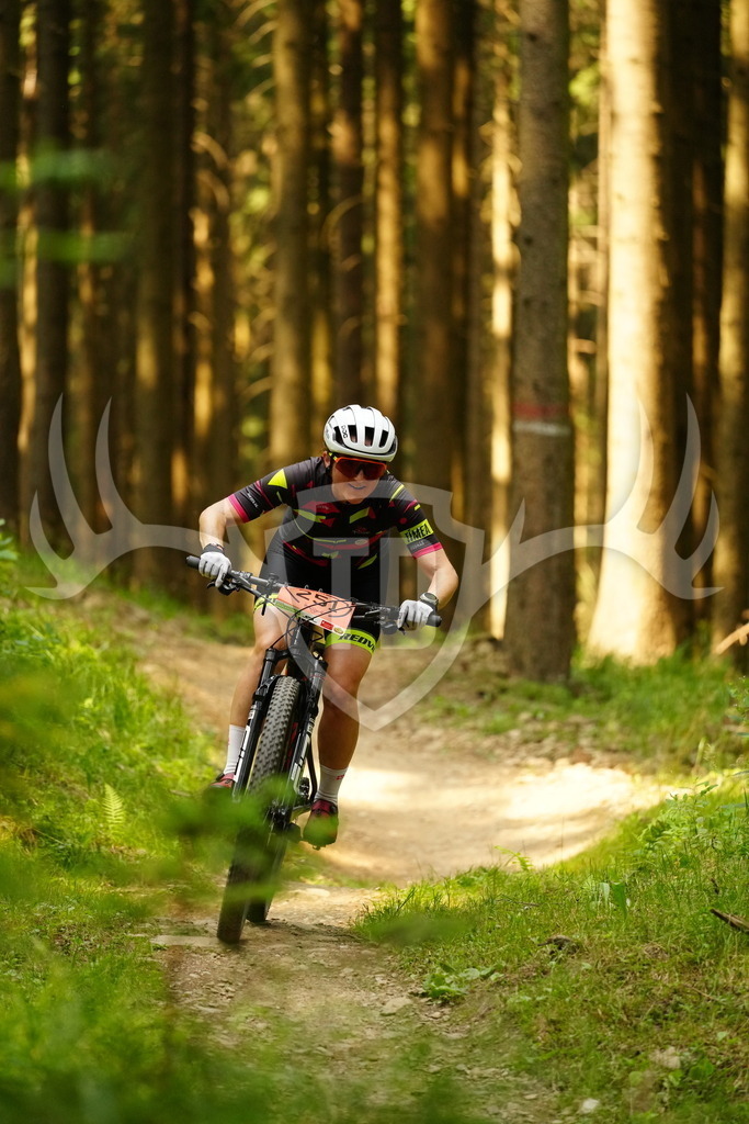 FC103136 | Fotogalerie der Treibjagd im Dunkelwald - Dein MTB Etappenrennen im Erzgebirge - Realisiert mit Pictrs.com