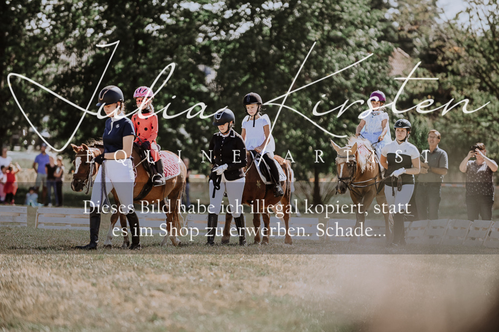 DSC_8851 | Pferde- und Turnierfotografie in Westsachsen. Pferdeportraits, Auftragszeichnungen und intuitive Kunst.