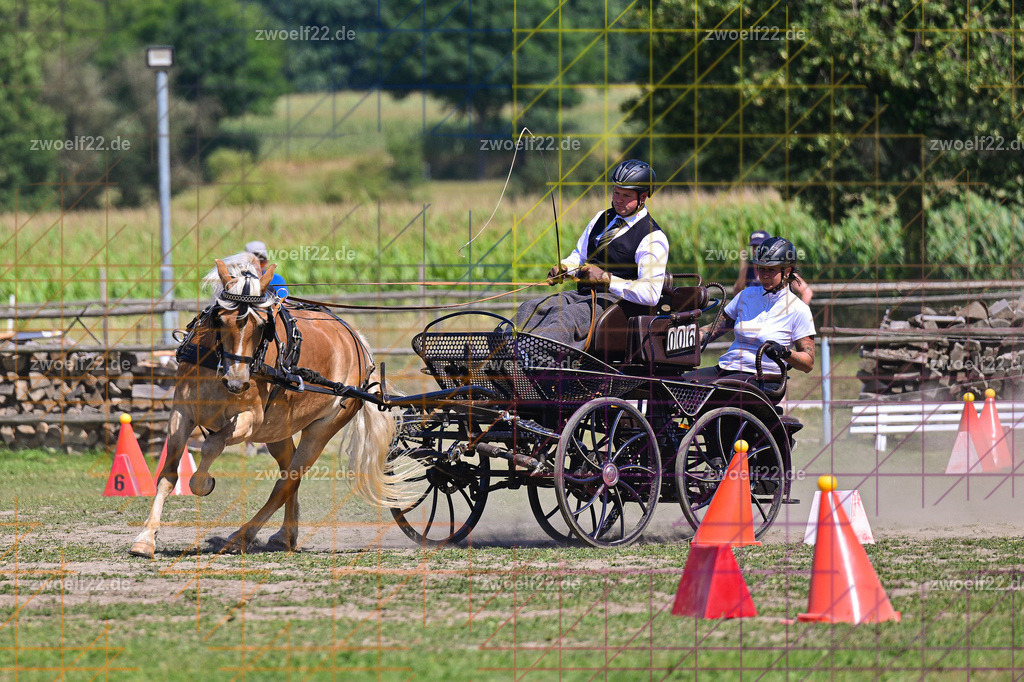 30 Jahre RFV Pulsnitz e.V., Pulsnitz am 09.08.2026 | Zur 28. breitensportlichen Veranstaltung des RFV Pulsnitz e.V. fanden verschiedene Wettbewerbe in nahezu allen Disziplinen des Pferdesport statt. - 18 Kegel-Fahr-Wettbewerb - Realisiert mit Pictrs.com
