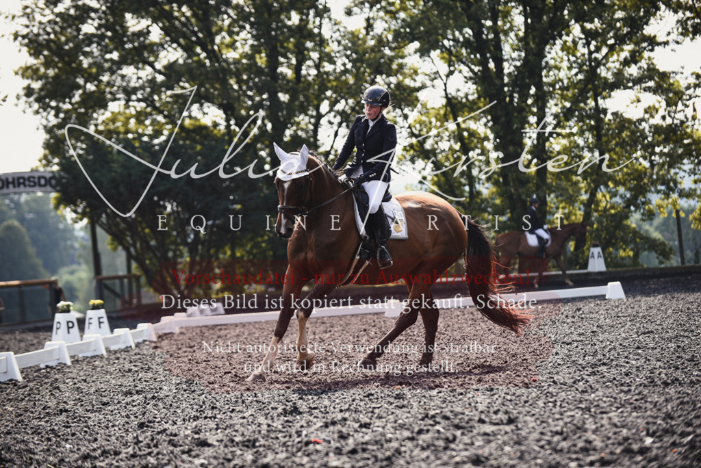 DSC_3570 | Pferde- und Turnierfotografie in Westsachsen. Pferdeportraits, Auftragszeichnungen und intuitive Kunst.