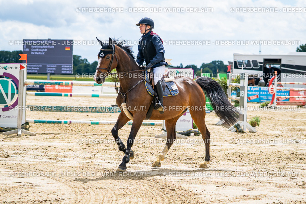 DSC05569 | Pferdegrafie