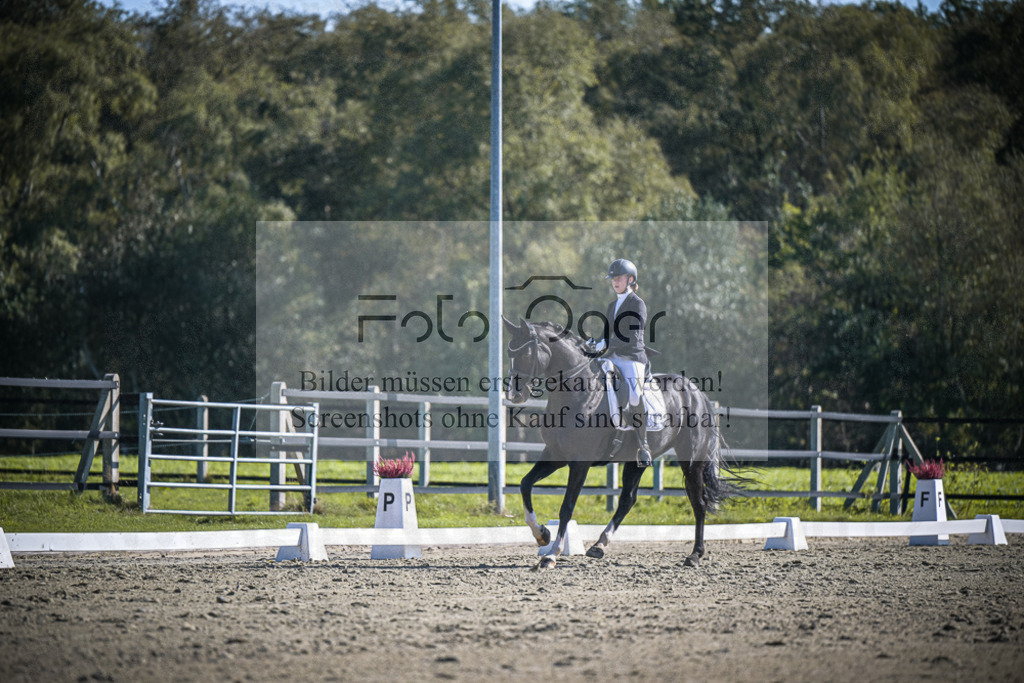DOS_2486 | Entdecke hochwertige Reitturnierfotos von Foto Oger. Professionell, emotional und authentisch – jetzt Lieblingsmomente im Shop bestellen.Deutschlandweite Turnierfotografie. - Realisiert mit Pictrs.com