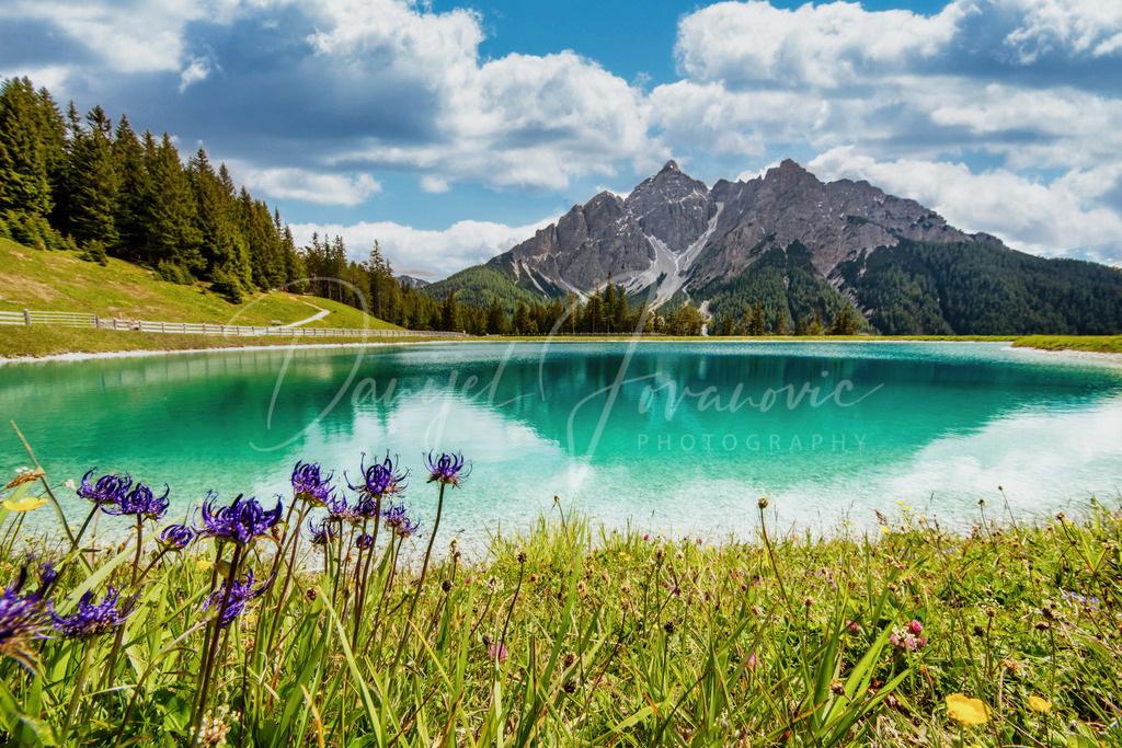 DSC09727 | Professioneller Fotograf - Bildbestellung online - Wandbilder vom Profi für ihr Zuhause, Büro, Praxis, Firma - große Auswahl an Materialien und Formaten, über 1400 regionale Motive