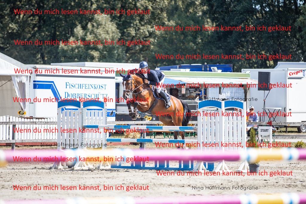 BK1A6412 | Turnierbilder Turnierfotos Nina Hüffmann Turnierfotografie Pferdefotografie Tierzeichnung Haustierzeichnung Pferdezeichnung Hundezeichnung Videograf  - Realisiert mit Pictrs.com