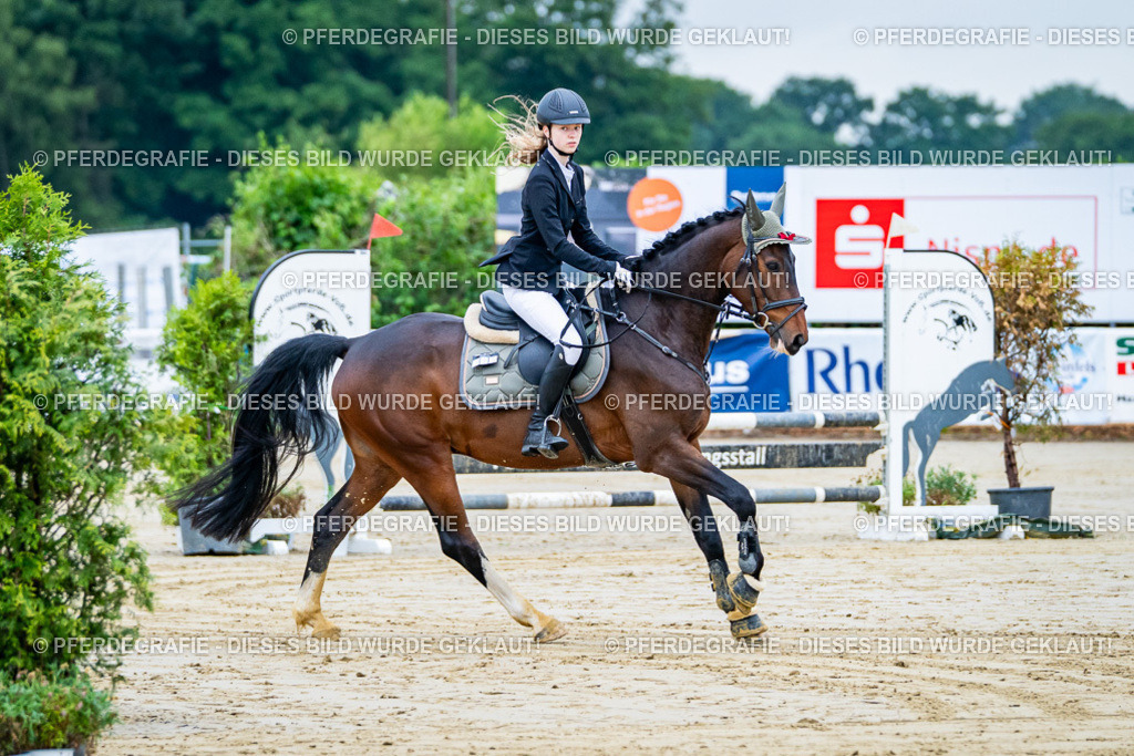 DSC00999 | Pferdegrafie