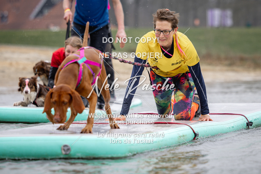 nelerasche_Hulsbeek_Sa1130-1230_131 | nelerasche