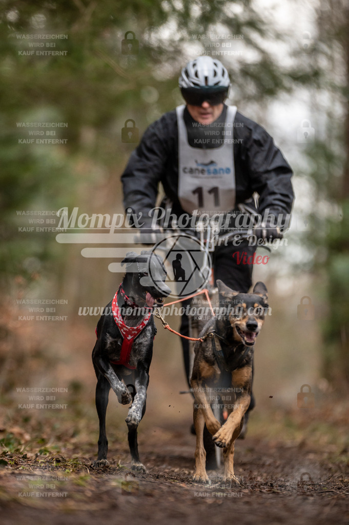 Reiat2023_SAM_DS2_8km_2H-2 | PayLife