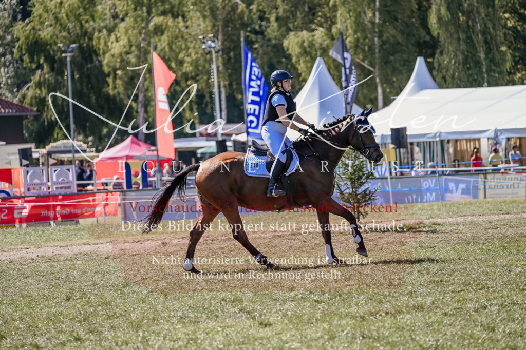 DSC_2624 | Pferde- und Turnierfotografie in Westsachsen. Pferdeportraits, Auftragszeichnungen und intuitive Kunst.