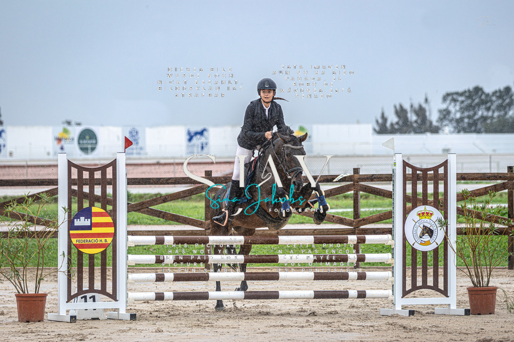 IMG_1980-Verbessert-RR | s-jay-photography - Realisiert mit Pictrs.com