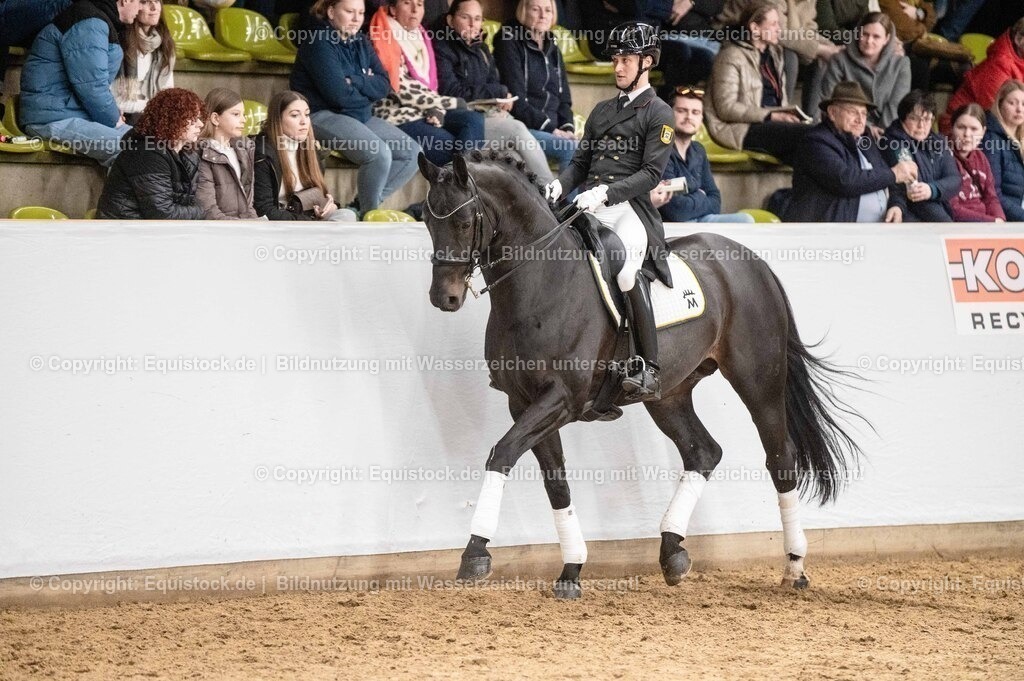 20260307_Hengstvorstellung-Marbach_0465 | equistock