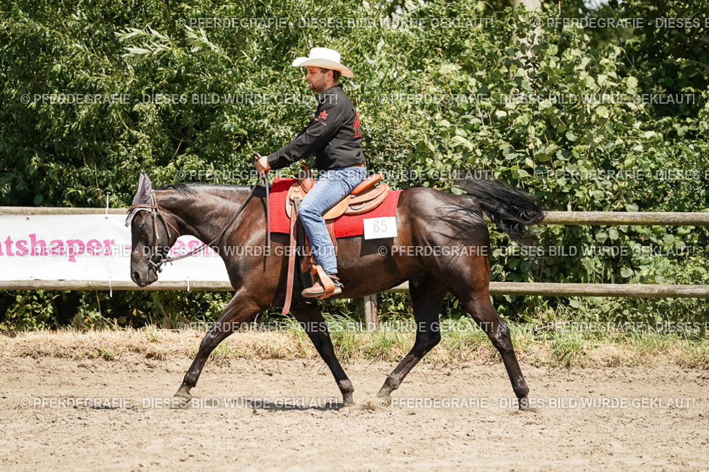 DSC09473 | Pferdegrafie