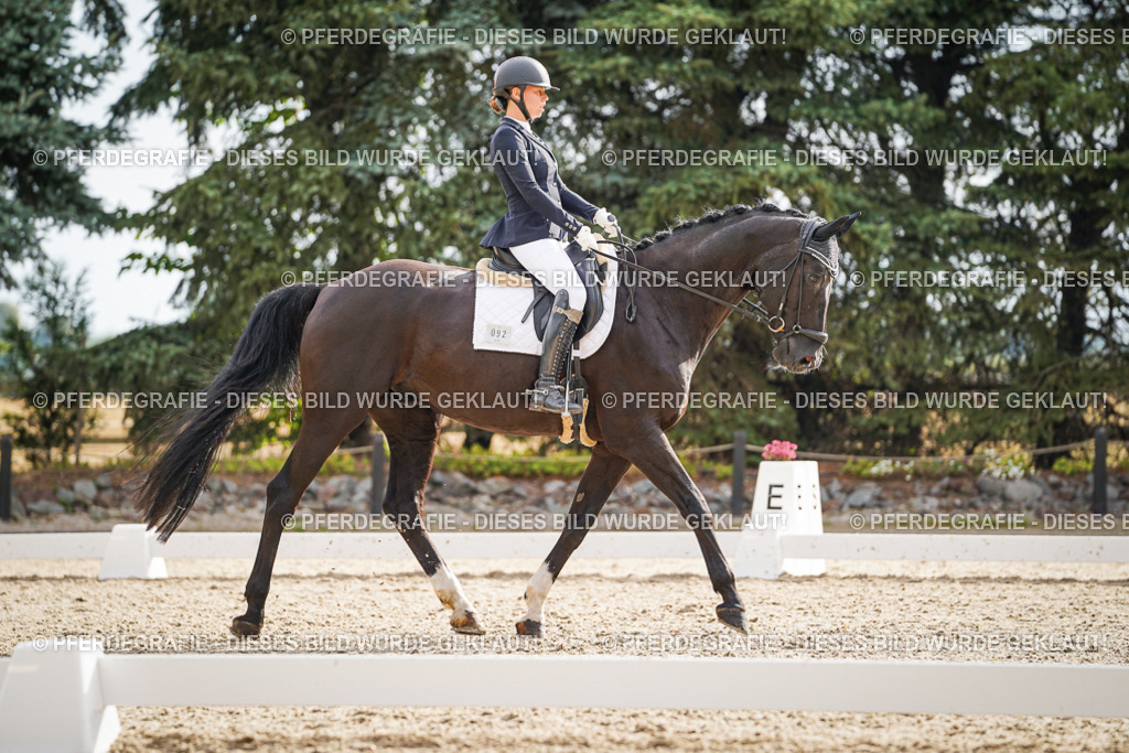 DSC00984 | Pferdegrafie