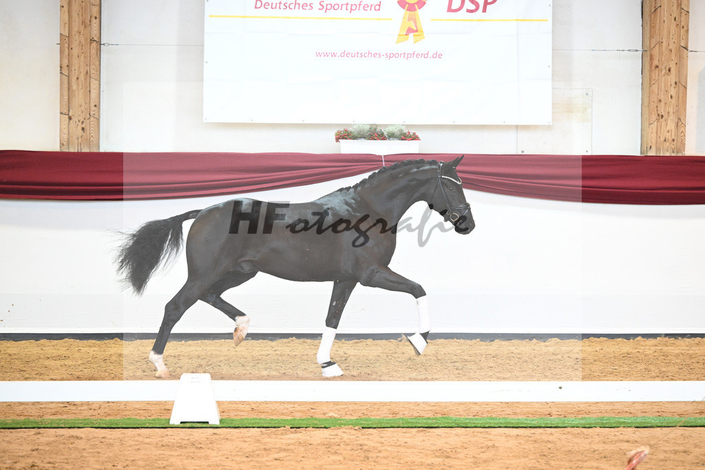 Kat-Nr. 51 v. Toto jr._Winklmaier_66220901 | hf-fotografie - Realisiert mit Pictrs.com