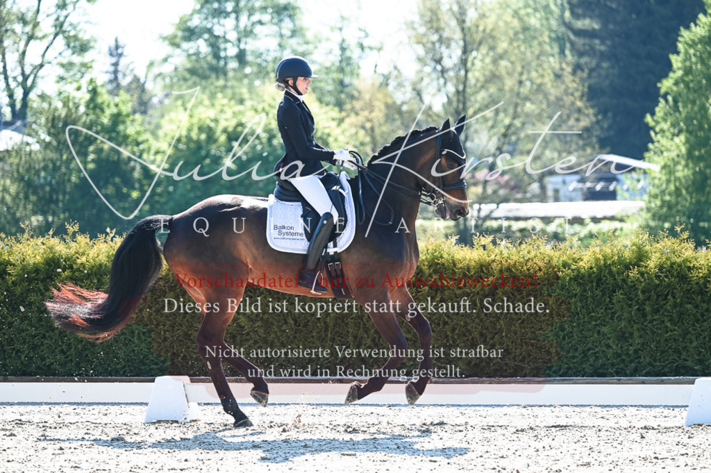 20230514_JK-Röhrsdorf-18-252 | Pferde- und Turnierfotografie in Westsachsen. Pferdeportraits, Auftragszeichnungen und intuitive Kunst.