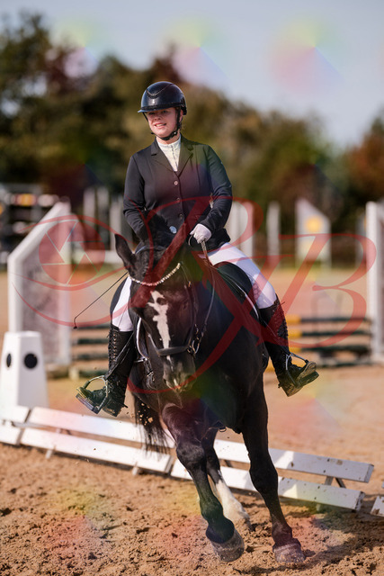 2026_10_03_Siefer-Hof_131853_Z81_67298870 | Professionelle Reitsport-, Turnier- und Eventfotografie von Robert Broda. Galerien mit ausgewählten und bearbeiteten Bildern direkt online ansehen und bestellen.
