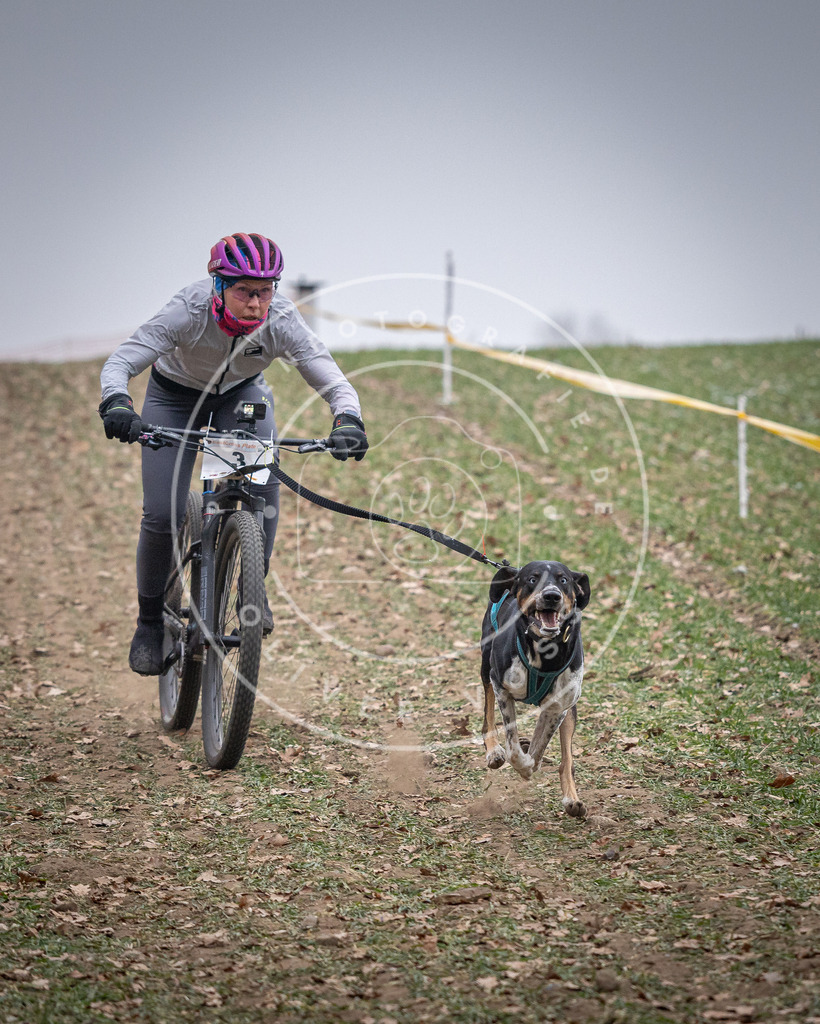 Pfotenfotografie_DV3A0962 | Hundefotografie, Tierfotograf, Pfotenfotografie, Fotoshooting Hund, Hunde Portrait, Hundesport, Hundeportraits, Heideshooting, Hunde, Sportfotograf, Hundefotograf, Turnierhundsport, THS,  - Realisiert mit Pictrs.com