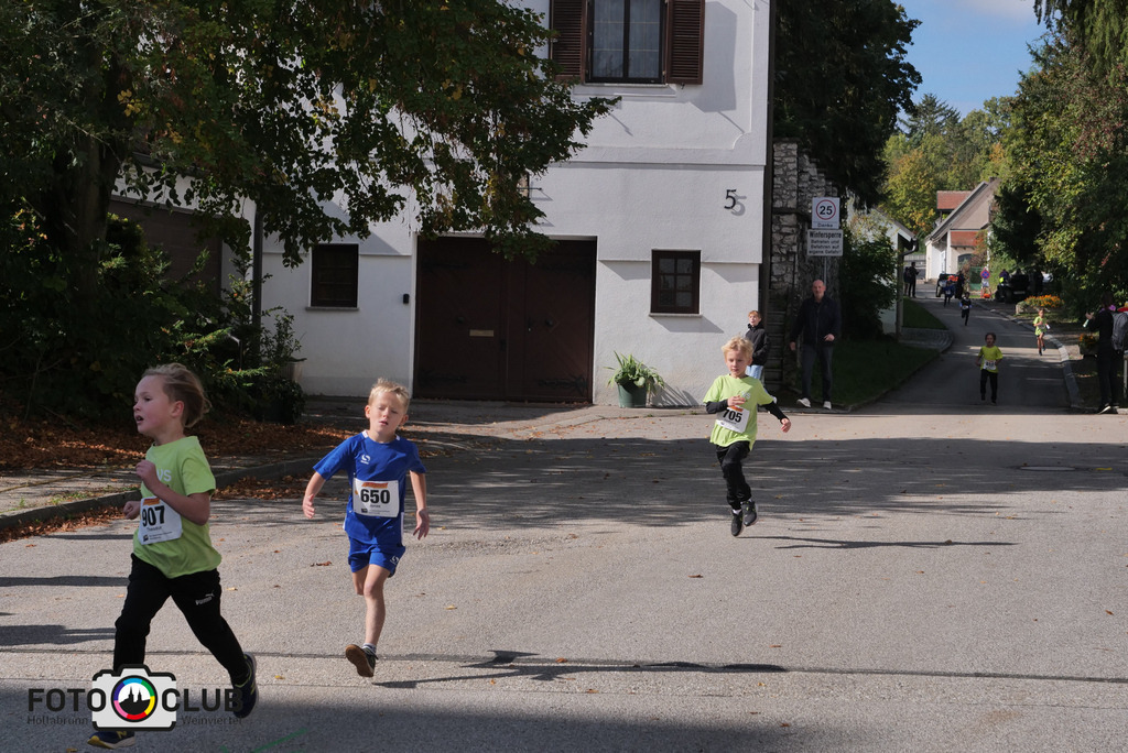 P1017476 | Foto Buchgraber