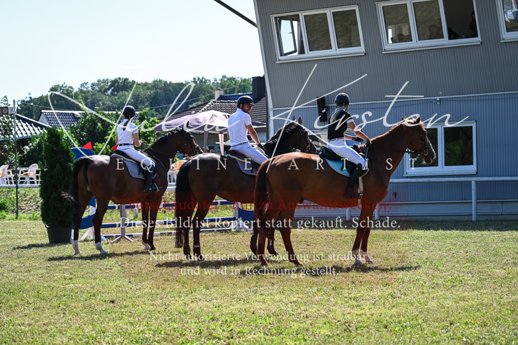 DSC_1771 | Pferde- und Turnierfotografie in Westsachsen. Pferdeportraits, Auftragszeichnungen und intuitive Kunst.