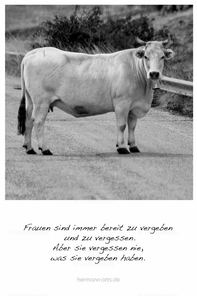 PK_Zitate_10x15_BW-009 | Photo Foto Kunst Art schwarzweiss Bilder Rheine Münster Berlin Blumen 