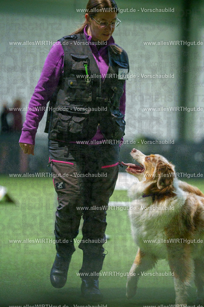 7R503907 | Professionelle Tierfotografie in Mönchengladbach von Daniel Wirth (allesWIRTHgut). Liebevolle & natürliche Bilder von Hunden & Katzen für unvergessliche Erinnerungen.