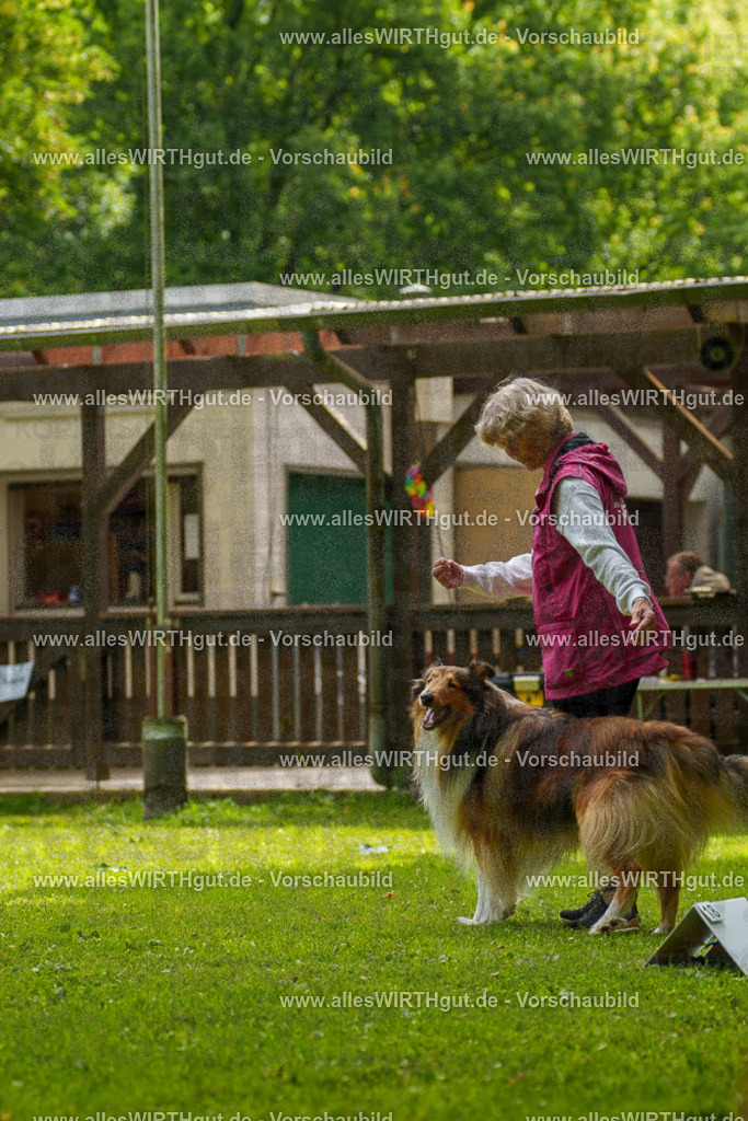 @allesWIRTHgut_Tierfotografie - www.allesWIRTHgut.de - 095217-7R507770 | Professionelle Tierfotografie in Mönchengladbach von Daniel Wirth (allesWIRTHgut). Liebevolle & natürliche Bilder von Hunden & Katzen für unvergessliche Erinnerungen.