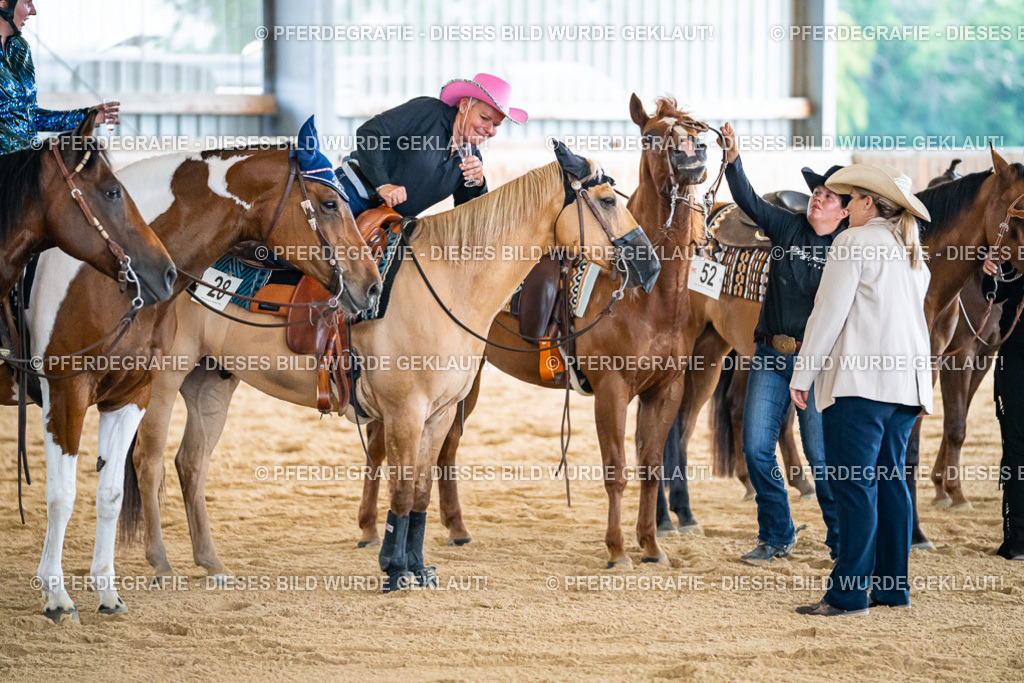 DSC09350 | Pferdegrafie