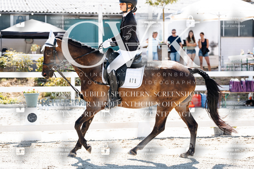 CK902289 | Turnierfotografie Pferdefotografie Trier Rheinland-Pfalz Pferdesport Reitsport Tierfotografie Sportfotografie Pferdevideo Pferdevideografie Equestrianvideography equestrianphotography  - Realisiert mit Pictrs.com
