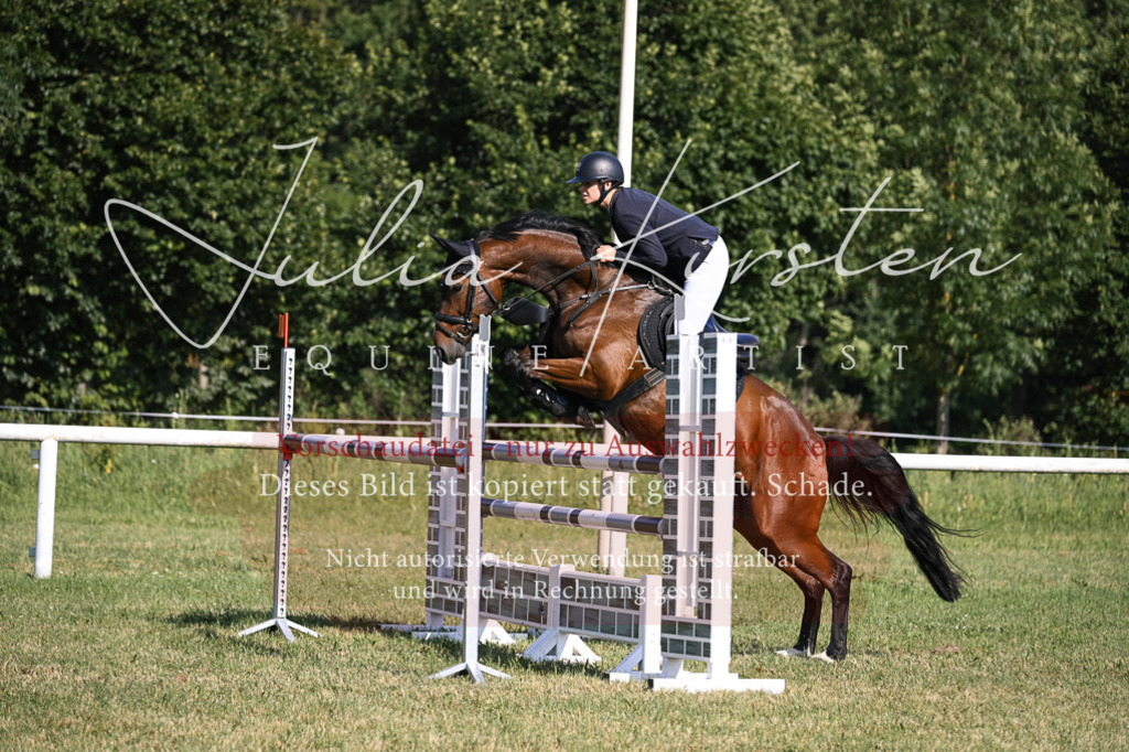 DSC_1458 | Pferde- und Turnierfotografie in Westsachsen. Pferdeportraits, Auftragszeichnungen und intuitive Kunst.