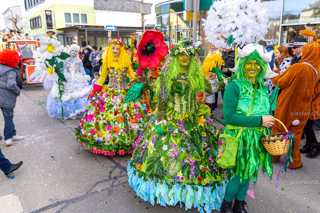 Faschingsumzug Feldkirchen | Bildershop von pixelworld.at - Realisiert mit Pictrs.com