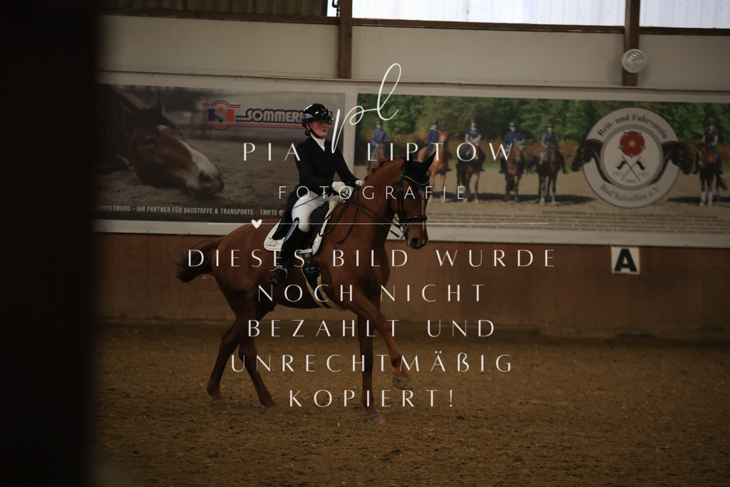 IMGT6390 | pl-fotografie