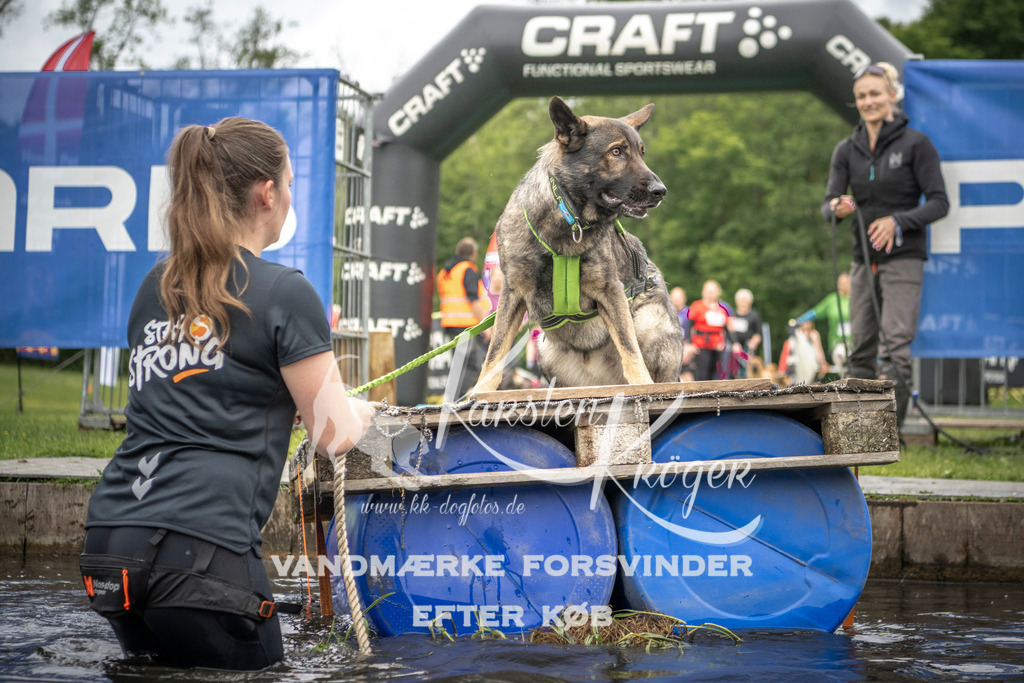 1002_ZZ93781 | kk-dogfotos