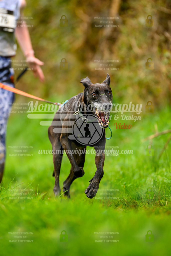 MompixPhotography_20TSB_E8_Run-74 | PayLife
