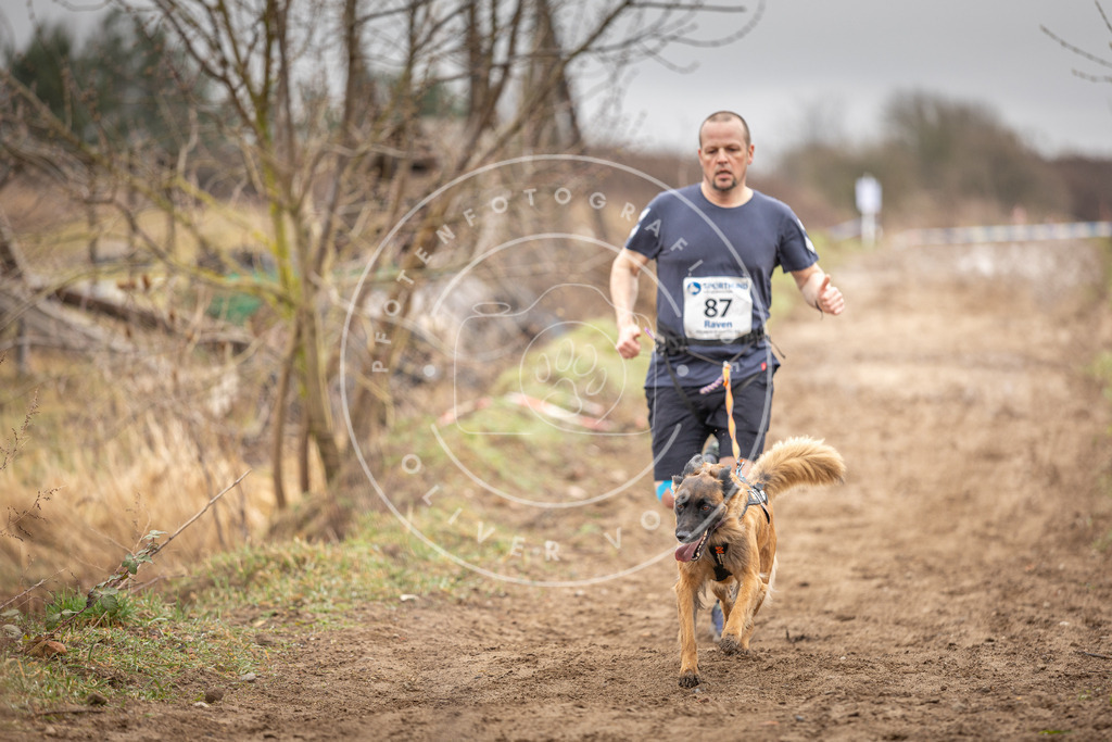 DV3A9922 | Hundefotografie, Tierfotograf, Pfotenfotografie, Fotoshooting Hund, Hunde Portrait, Hundesport, Hundeportraits, Heideshooting, Hunde, Sportfotograf, Hundefotograf, Turnierhundsport, THS,  - Realisiert mit Pictrs.com