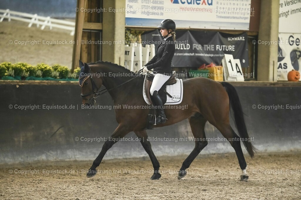 01_Dressur_A_Finale-Volksbank-Championat_0020 | Foto: Thomas Hartig