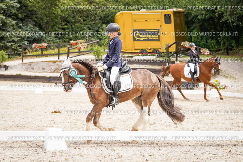 DSC04627 | Pferdegrafie