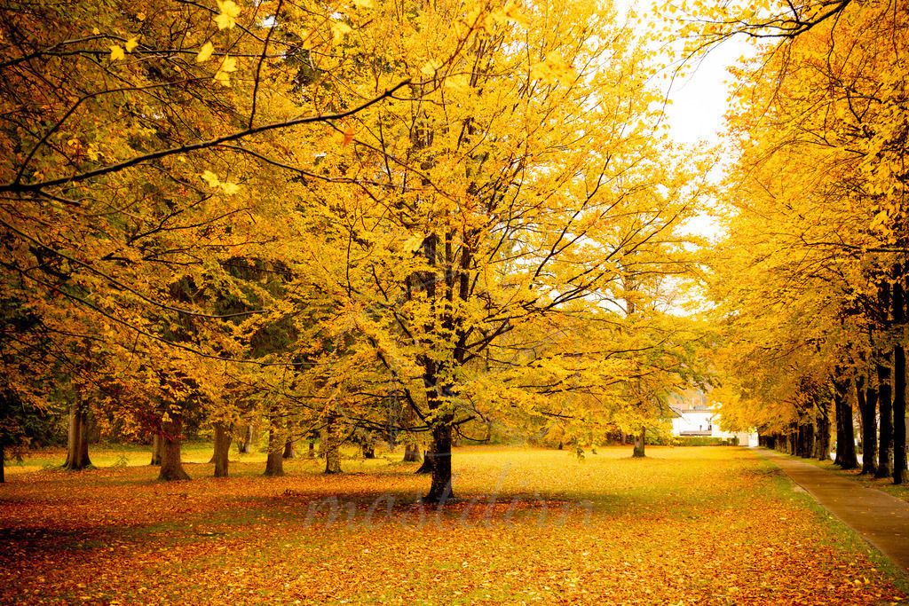 Herbst Gaming | Ihre Fotografin im Lungau, ihre Fotografin im Mostviertel, Wandbilder Onlineshop, Imagefotos für Ihr Unternehmen,  - Realisiert mit Pictrs.com