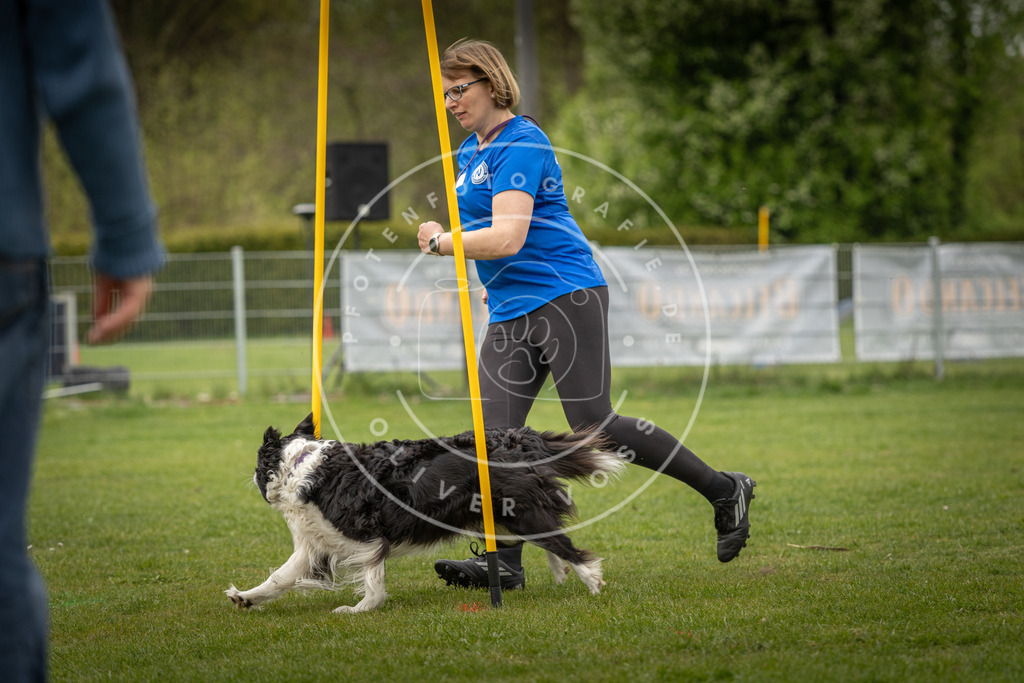 Pfotenfotografie_DV3A2081 | Hundefotografie, Tierfotograf, Pfotenfotografie, Fotoshooting Hund, Hunde Portrait, Hundesport, Hundeportraits, Heideshooting, Hunde, Sportfotograf, Hundefotograf, Turnierhundsport, THS,  - Realisiert mit Pictrs.com