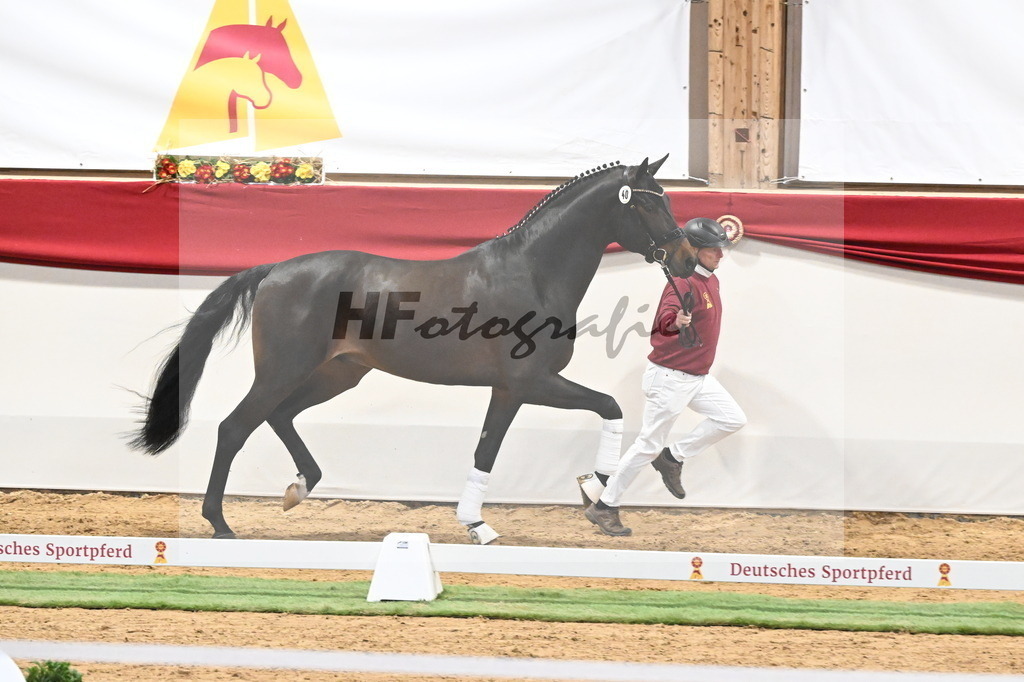 Kat.-Nr. 40 v. Despacito_Greim_3260234 | hf-fotografie - Realisiert mit Pictrs.com