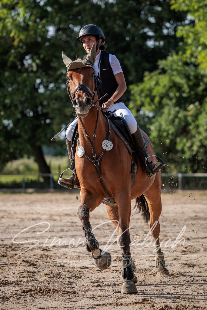 20260529-_3LI0109 | Tierfotografie Pferde, Hunde, Katzen, Haustiere.
Turnierfotografie Reitturniere, Reiten, Springreiten, Dressur in Hanau, dem Main-Kinzig-Kreis und dem Rhein-Main- Gebiet um Frankfurt