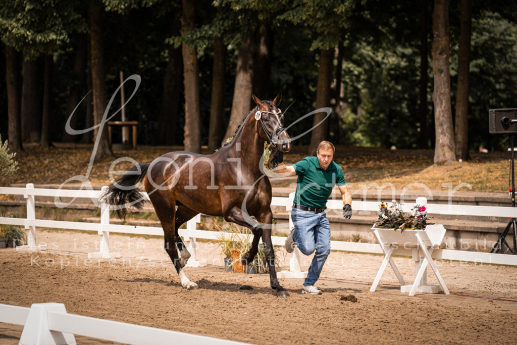 2. Fr00105 | Leoni Ertmer Photography - Realisiert mit Pictrs.com