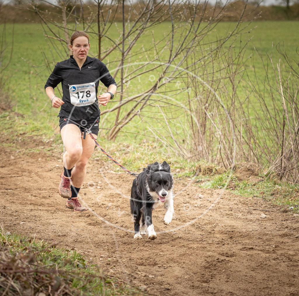 DV3A2050 | Hundefotografie, Tierfotograf, Pfotenfotografie, Fotoshooting Hund, Hunde Portrait, Hundesport, Hundeportraits, Heideshooting, Hunde, Sportfotograf, Hundefotograf, Turnierhundsport, THS,  - Realisiert mit Pictrs.com