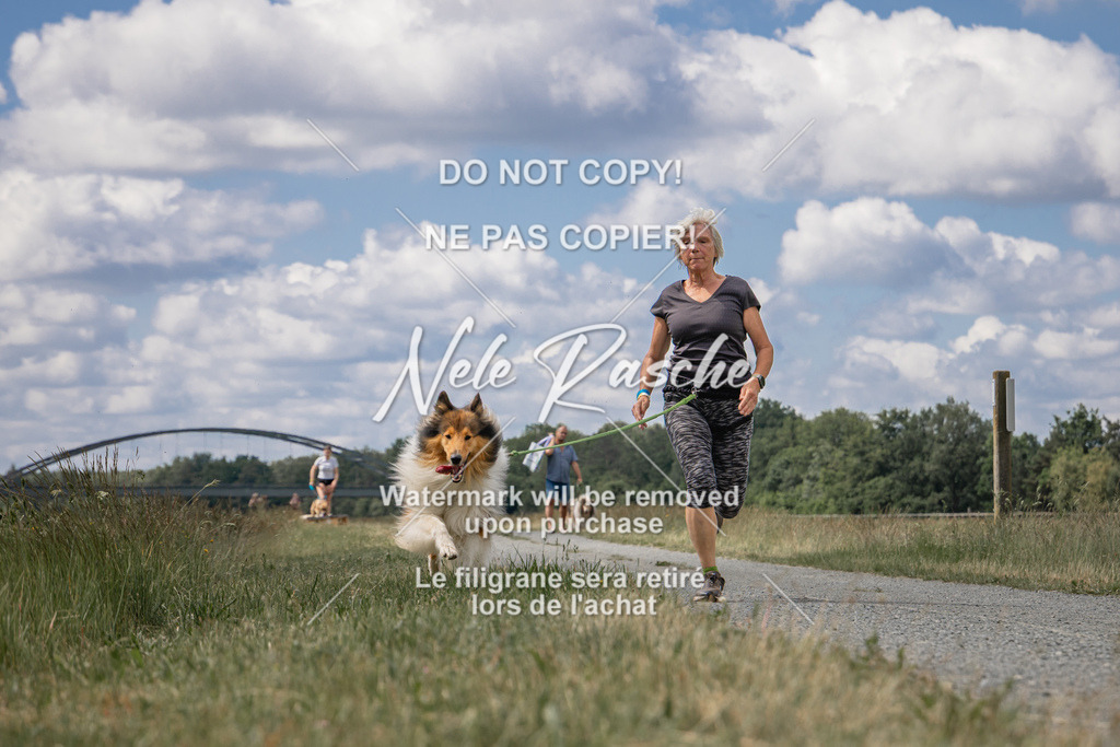 nelerasche_BuHu2026_SaCC1100-1200_04 | nelerasche
